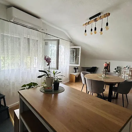 Centar Apartman *